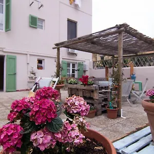 Appartamento 200metri Dal Mare Raffinato Chalet Con Giardino, Marina Di Pisa